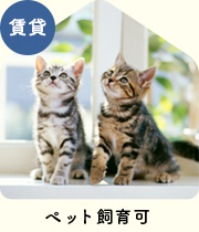 【賃貸特集】ペット飼育可